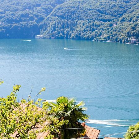 Casa Di Momo Daire Carate Urio Dış mekan fotoğraf