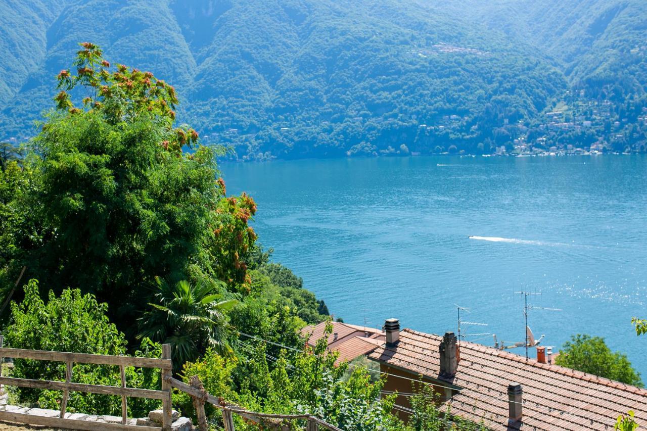 Casa Di Momo Daire Carate Urio Dış mekan fotoğraf
